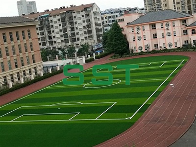 Sand Free Lawn Site