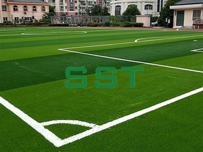 School Sports Turf